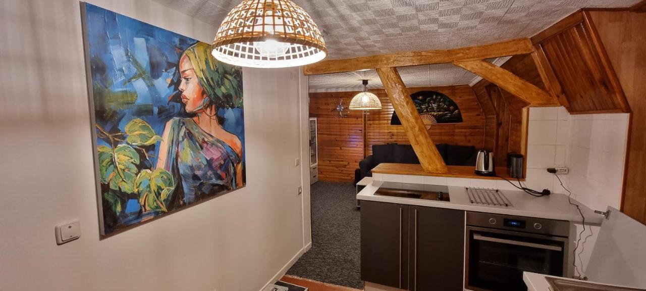 Chambre Privee Numero 1 Dans Un Superbe Appartement En Colocation Montataire Luaran gambar